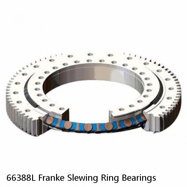 66388L Franke Slewing Ring Bearings