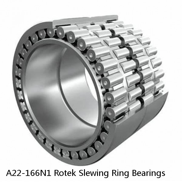 A22-166N1 Rotek Slewing Ring Bearings