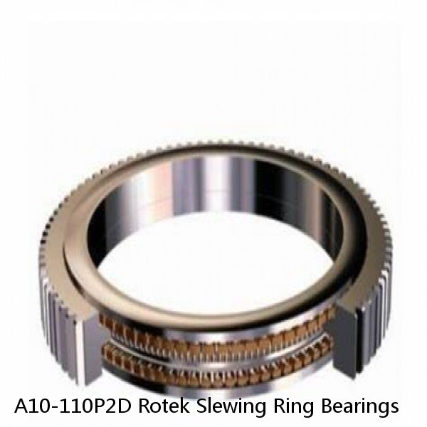 A10-110P2D Rotek Slewing Ring Bearings