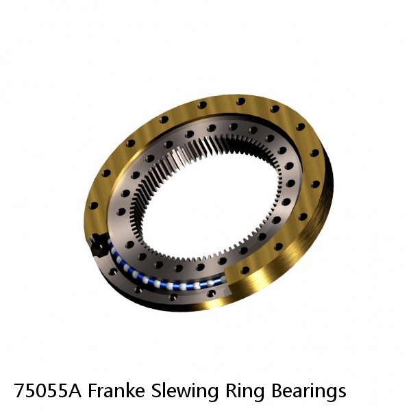 75055A Franke Slewing Ring Bearings