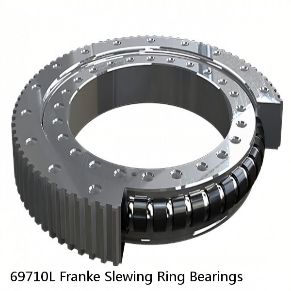 69710L Franke Slewing Ring Bearings