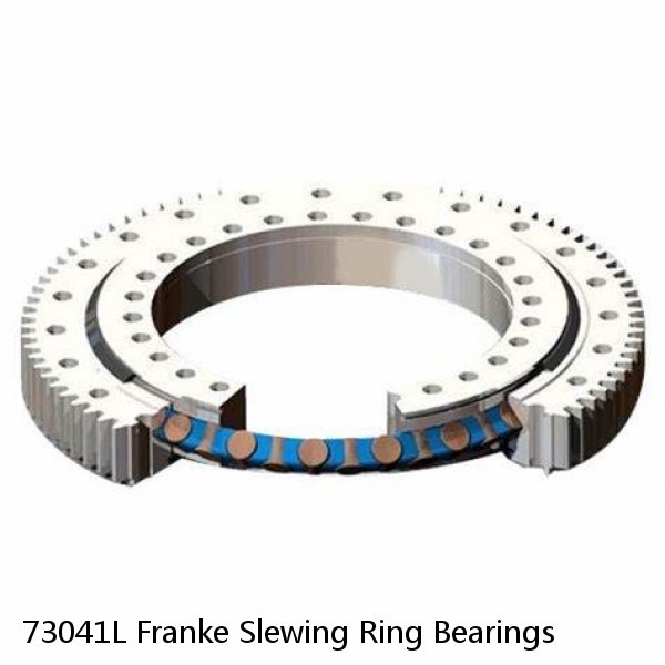 73041L Franke Slewing Ring Bearings