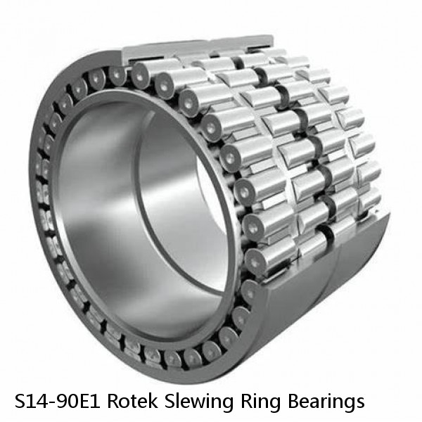 S14-90E1 Rotek Slewing Ring Bearings