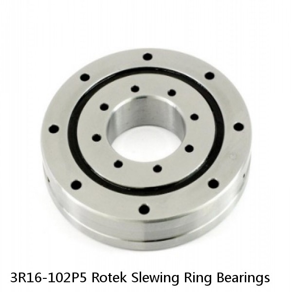 3R16-102P5 Rotek Slewing Ring Bearings