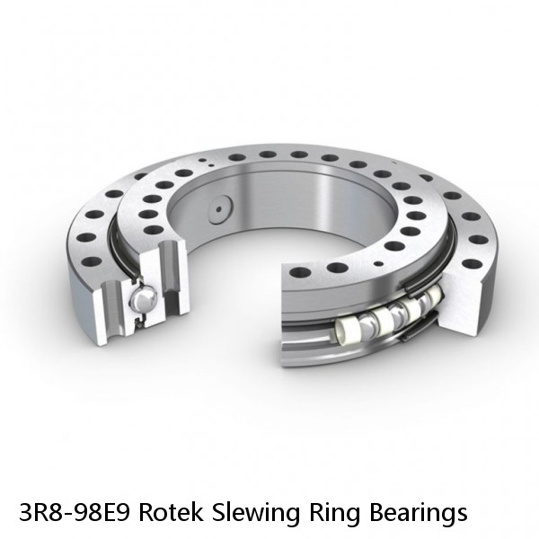 3R8-98E9 Rotek Slewing Ring Bearings