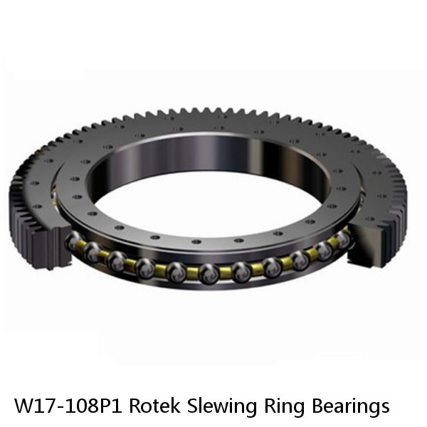 W17-108P1 Rotek Slewing Ring Bearings