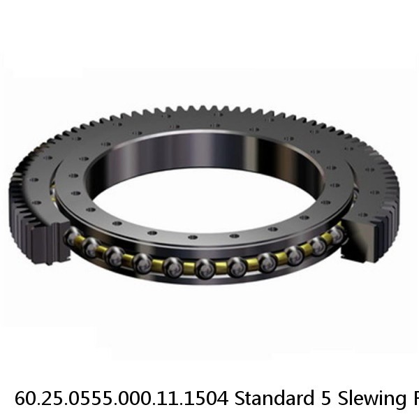 60.25.0555.000.11.1504 Standard 5 Slewing Ring Bearings