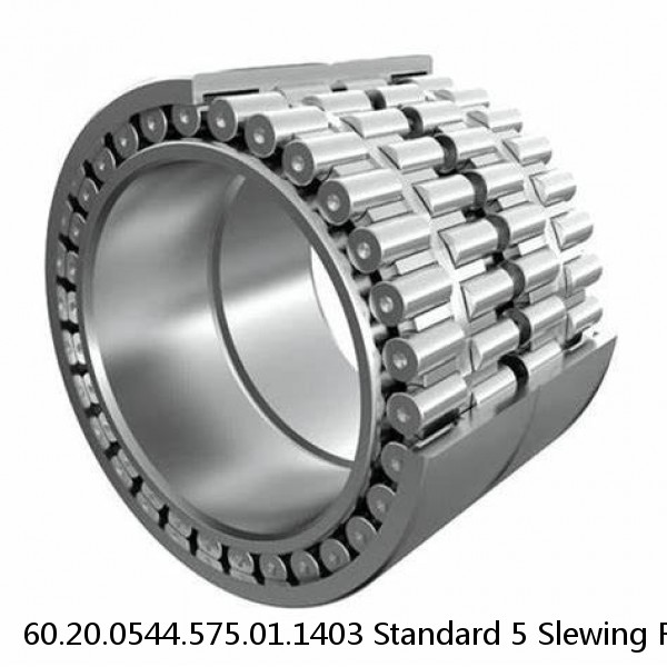 60.20.0544.575.01.1403 Standard 5 Slewing Ring Bearings