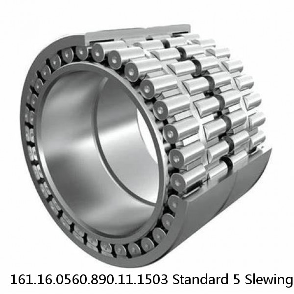 161.16.0560.890.11.1503 Standard 5 Slewing Ring Bearings