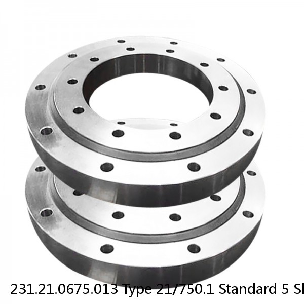 231.21.0675.013 Type 21/750.1 Standard 5 Slewing Ring Bearings