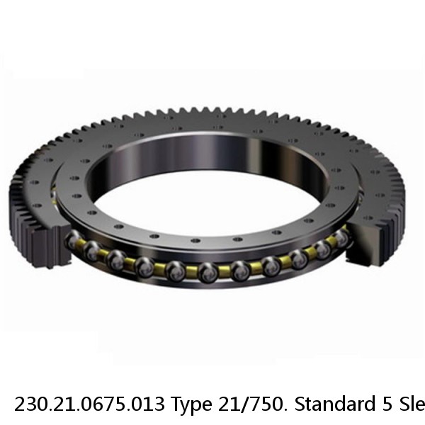 230.21.0675.013 Type 21/750. Standard 5 Slewing Ring Bearings