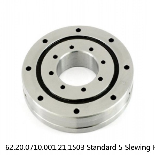 62.20.0710.001.21.1503 Standard 5 Slewing Ring Bearings