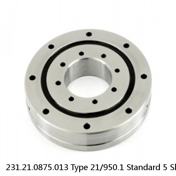 231.21.0875.013 Type 21/950.1 Standard 5 Slewing Ring Bearings