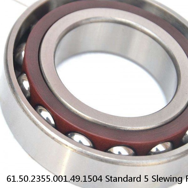 61.50.2355.001.49.1504 Standard 5 Slewing Ring Bearings