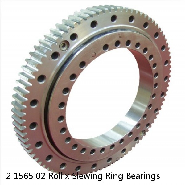 2 1565 02 Rollix Slewing Ring Bearings