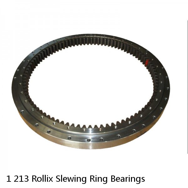 1 213 Rollix Slewing Ring Bearings