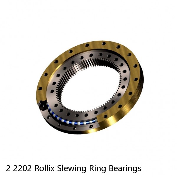 2 2202 Rollix Slewing Ring Bearings