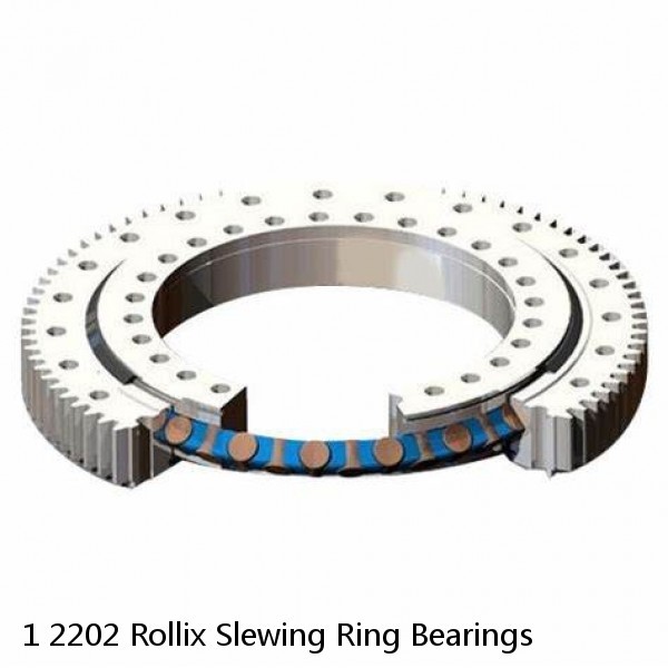 1 2202 Rollix Slewing Ring Bearings