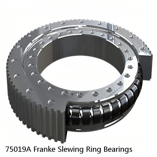 75019A Franke Slewing Ring Bearings