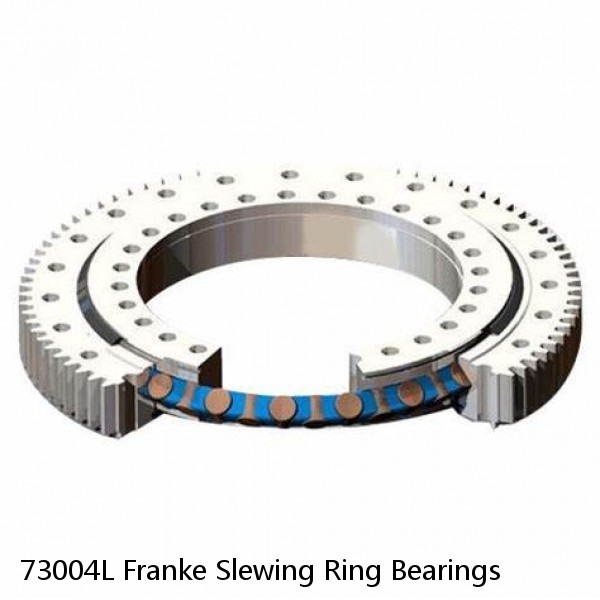 73004L Franke Slewing Ring Bearings