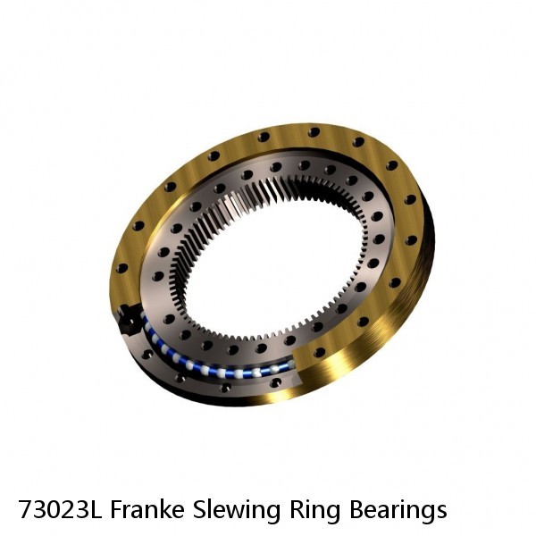 73023L Franke Slewing Ring Bearings