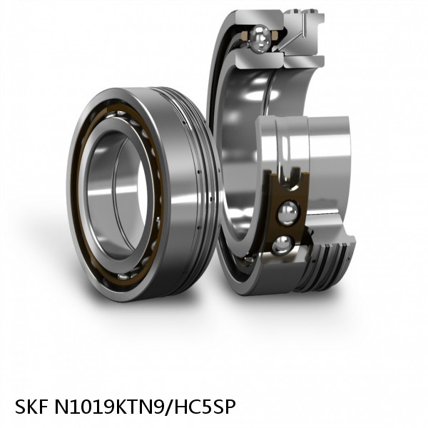 N1019KTN9/HC5SP SKF Super Precision,Super Precision Bearings,Cylindrical Roller Bearings,Single Row N 10 Series