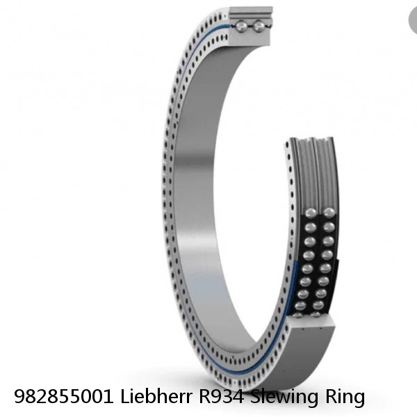 982855001 Liebherr R934 Slewing Ring