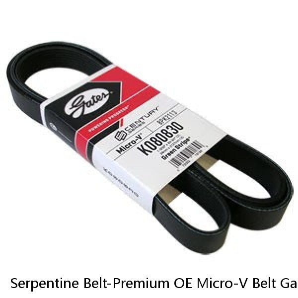 Serpentine Belt-Premium OE Micro-V Belt Gates K080830